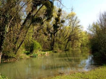 Canal Pont Monin